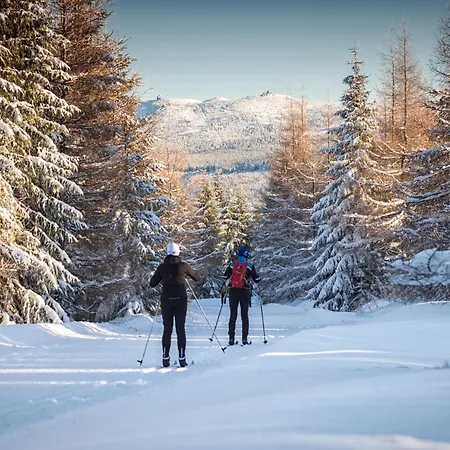 Stacja Jakuszyce Séjour chez l'habitant Szklarska Poreba