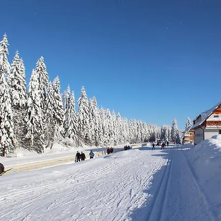Stacja Jakuszyce Séjour chez l'habitant Szklarska Poreba
