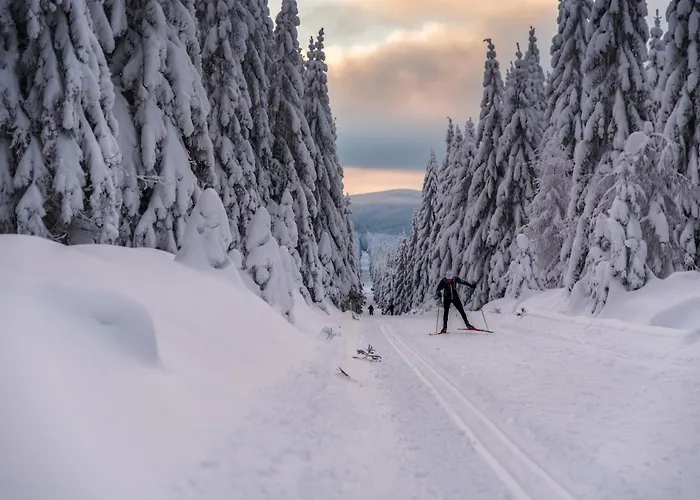 Stacja Jakuszyce * 스클라르스카포렘바