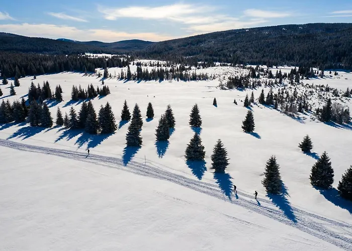 홈스테이 Stacja Jakuszyce 스클라르스카포렘바