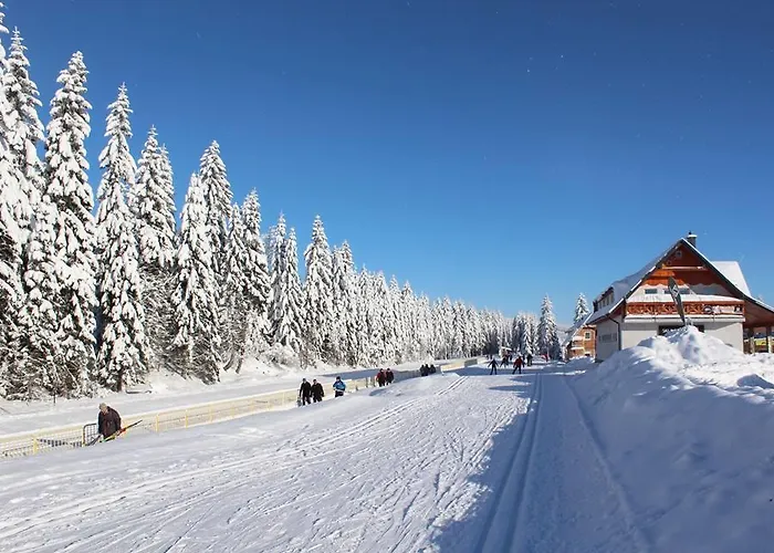 Stacja Jakuszyce 홈스테이 스클라르스카포렘바