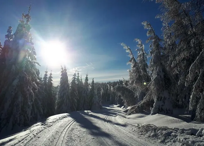 Stacja Jakuszyce 홈스테이 스클라르스카포렘바