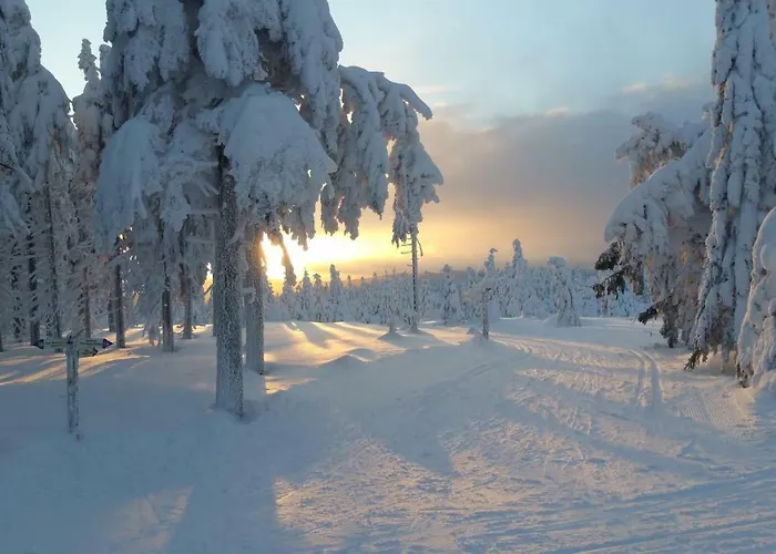 홈스테이 Stacja Jakuszyce 스클라르스카포렘바