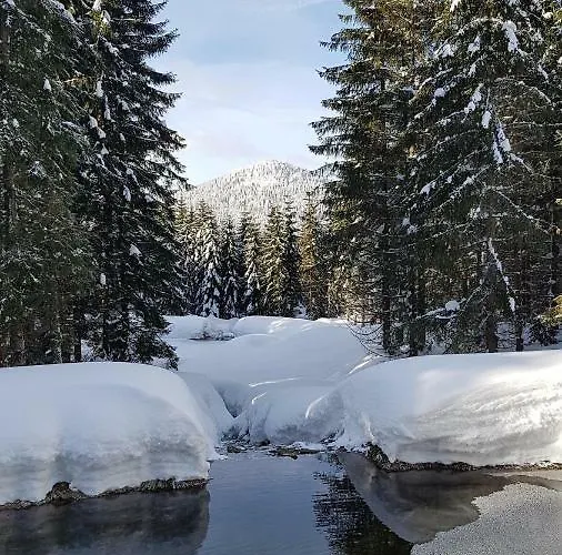 Stacja Jakuszyce * 스클라르스카포렘바